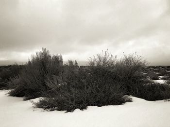 Snow on field against sky during winter