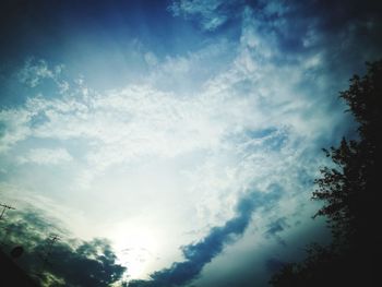 Low angle view of trees against sky