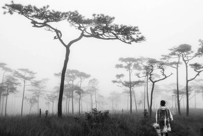 Rear view of man standing on field against trees