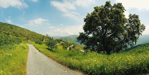 Road amidst green landscape against sky