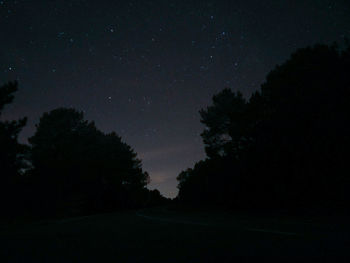 Silhouette trees against sky at night
