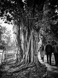 Rear view of people walking in park