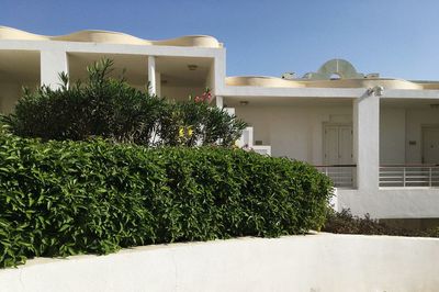 Plants growing outside house against sky