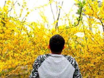 Rear view of man standing against yellow flowers