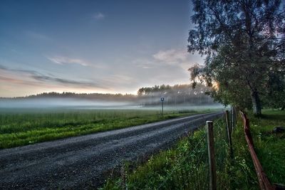 Road passing through field