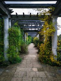 Footpath amidst buildings in park