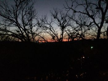 Silhouette bare trees against sky at night