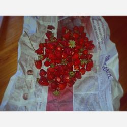 Close-up of red flowers