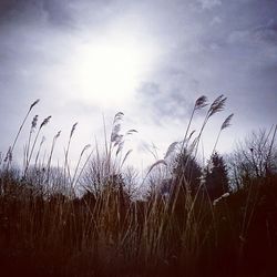 Scenic view of field against cloudy sky