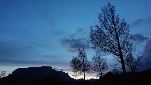 Low angle view of silhouette tree against sky at dusk