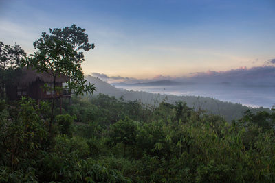 Scenic view of landscape against sky