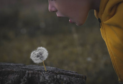 Close-up of boy blowing dandelion