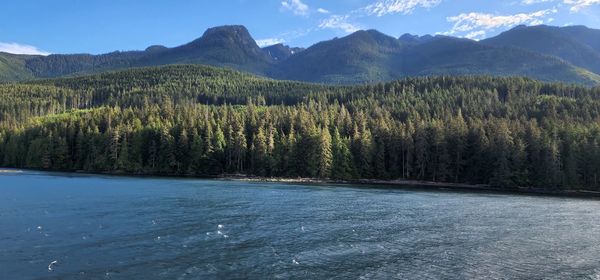 Scenic view of lake and mountains against sky