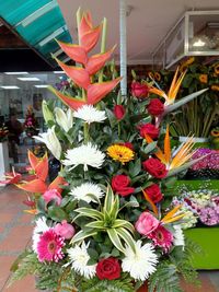 Close-up of flower pot