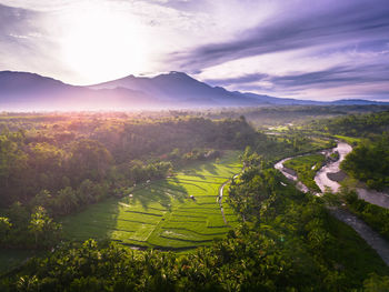 environment