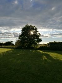 Scenic view of grassy field against sky