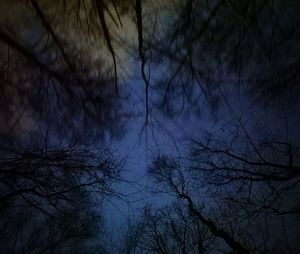 Low angle view of bare trees against sky