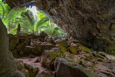 Rock formation amidst trees