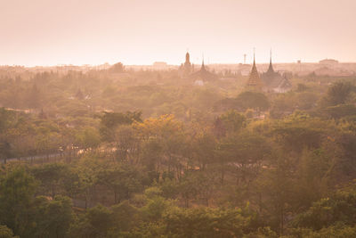 Temples amidst trees against sky