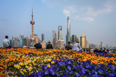 View of flowering plants against cloudy sky