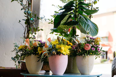 Close-up of potted plant