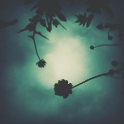 Low angle view of trees against sky
