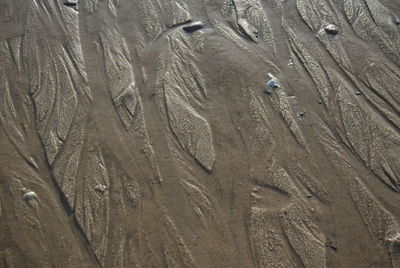 High angle view of tire tracks on sand