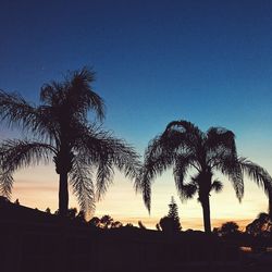 Silhouette trees against sky during sunset