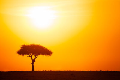 Silhouette tree on field against orange sky