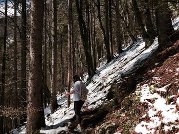 Rear view of man standing in forest