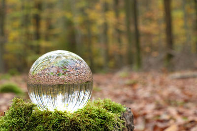 Close-up of crystal ball on field