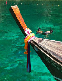 High angle view of bird perching on wooden post