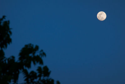 Low angle view of moon against clear blue sky