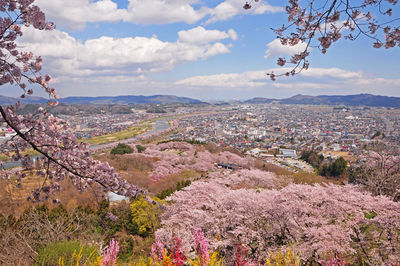 Aerial view of cherry blossom in city against sky