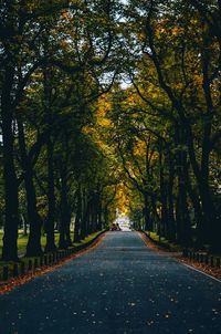 Road amidst trees in park during autumn