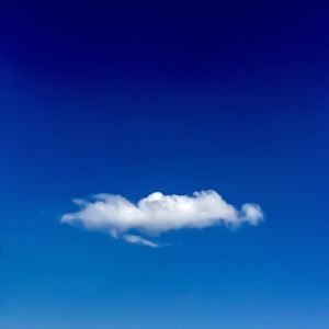 Low angle view of trees against blue sky