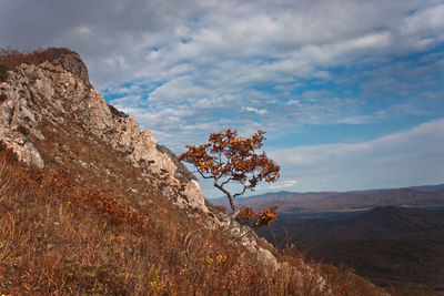 Scenic view of landscape against cloudy sky