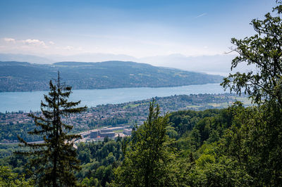 Views of zurich lake form bachtel