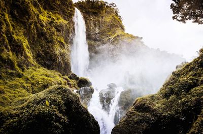 Scenic view of waterfall in forest