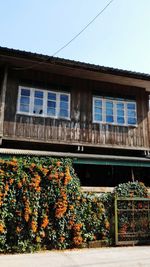 Plants against built structure