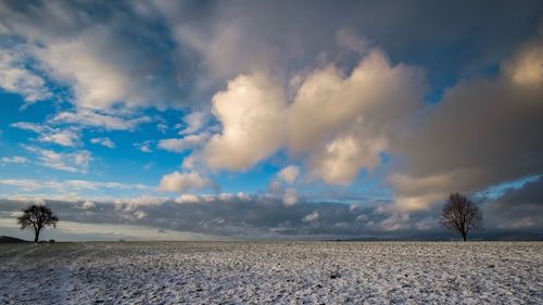 Scenic view of landscape against blue sky