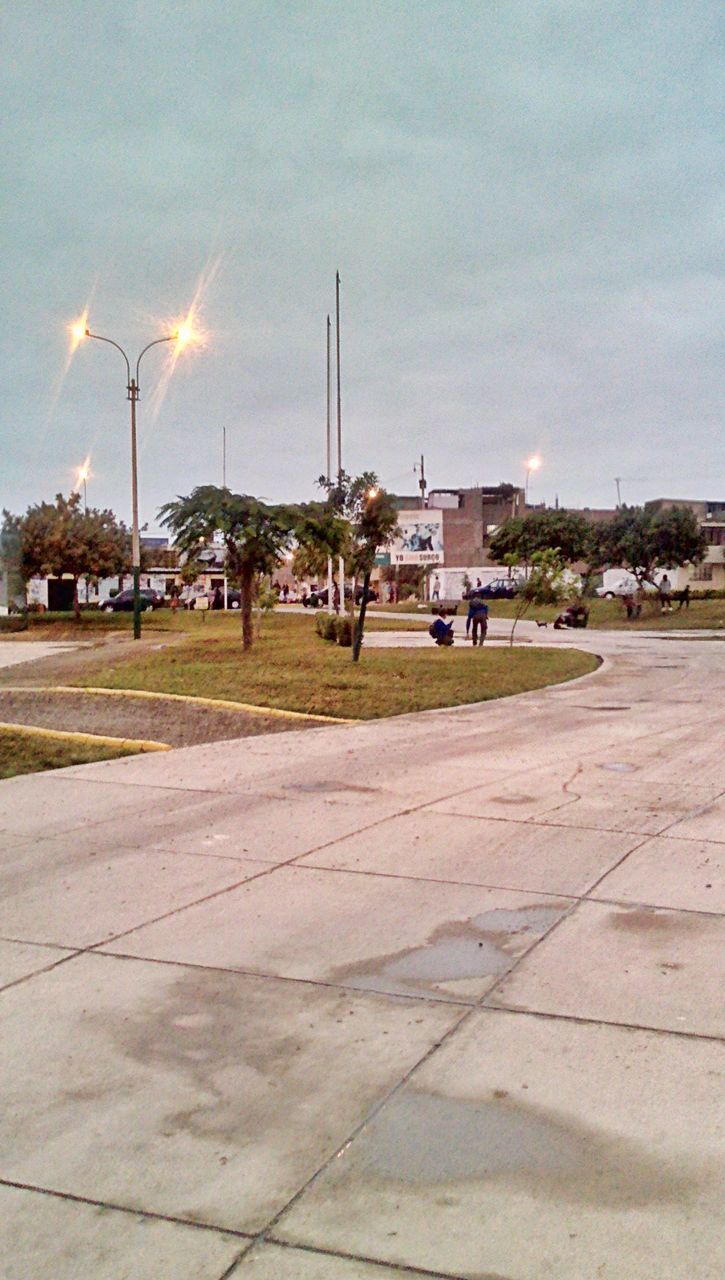 VIEW OF PARK