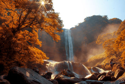 Scenic view of waterfall