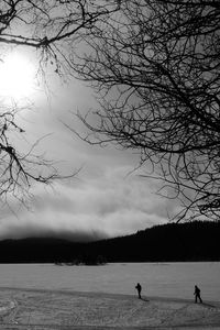 Silhouette birds on landscape against sky