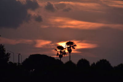 Low angle view of silhouette trees against orange sky