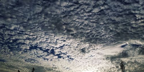 Low angle view of tree against sky