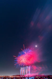 Low angle view of fireworks against sky at night