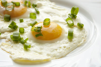 Close-up of food on plate