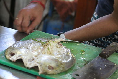 Close-up of person hand holding fish