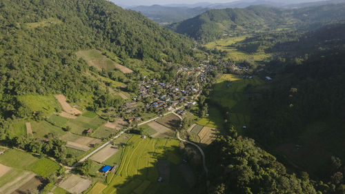 High angle view of trees and mountains